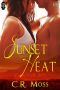 [1Night Stand 179] • Sunset Heat